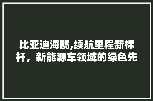 比亚迪海鸥,续航里程新标杆，新能源车领域的绿色先锋