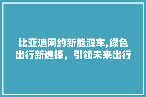 比亚迪网约新能源车,绿色出行新选择，引领未来出行潮流