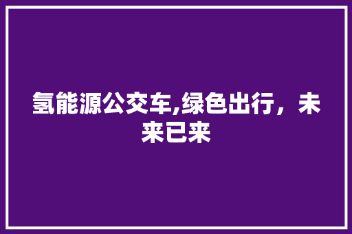 氢能源公交车,绿色出行，未来已来