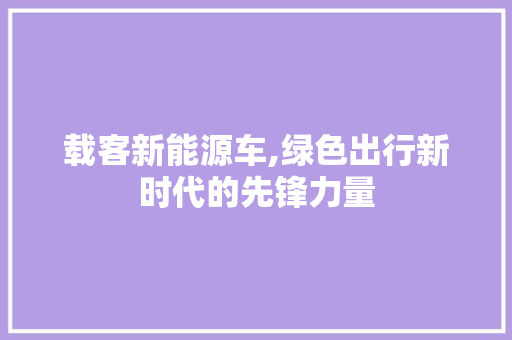 载客新能源车,绿色出行新时代的先锋力量