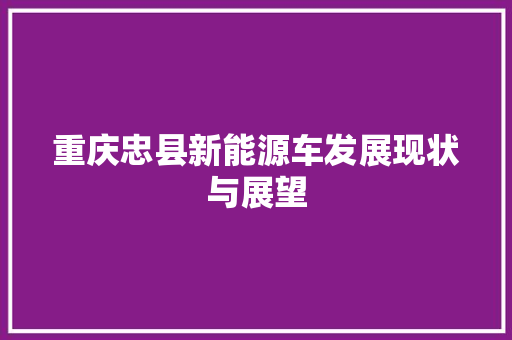 重庆忠县新能源车发展现状与展望