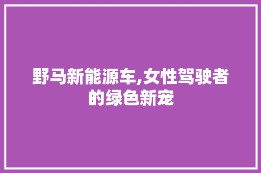 野马新能源车,女性驾驶者的绿色新宠