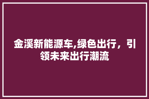 金溪新能源车,绿色出行，引领未来出行潮流