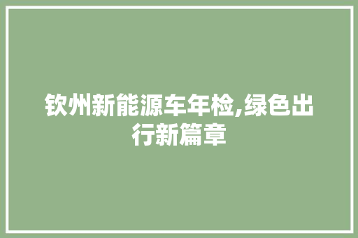 钦州新能源车年检,绿色出行新篇章