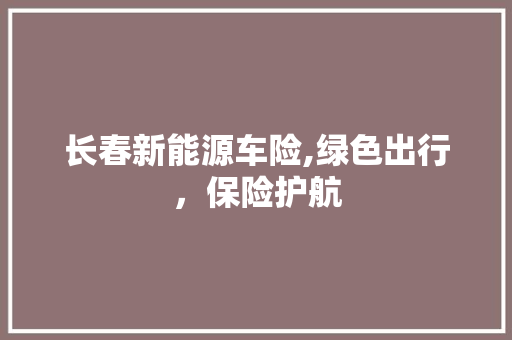 长春新能源车险,绿色出行，保险护航