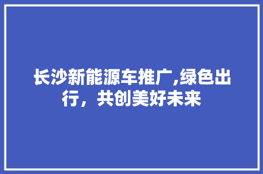 长沙新能源车推广,绿色出行，共创美好未来