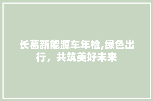 长葛新能源车年检,绿色出行，共筑美好未来