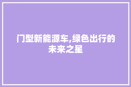 门型新能源车,绿色出行的未来之星