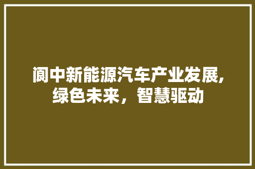 阆中新能源汽车产业发展,绿色未来，智慧驱动