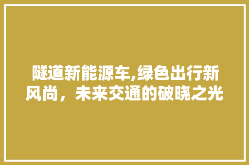 隧道新能源车,绿色出行新风尚，未来交通的破晓之光