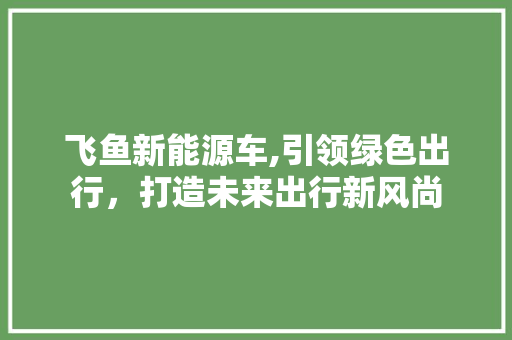 飞鱼新能源车,引领绿色出行，打造未来出行新风尚