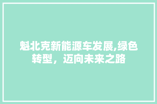 魁北克新能源车发展,绿色转型，迈向未来之路