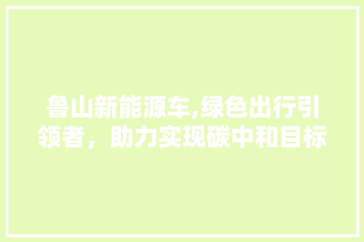 鲁山新能源车,绿色出行引领者，助力实现碳中和目标