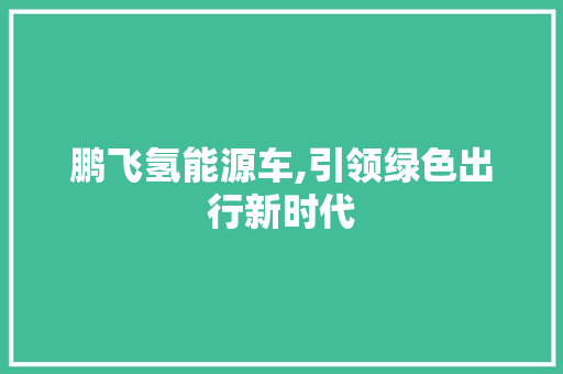鹏飞氢能源车,引领绿色出行新时代