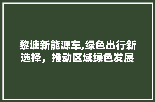 黎塘新能源车,绿色出行新选择，推动区域绿色发展