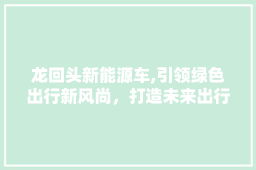 龙回头新能源车,引领绿色出行新风尚，打造未来出行新标杆