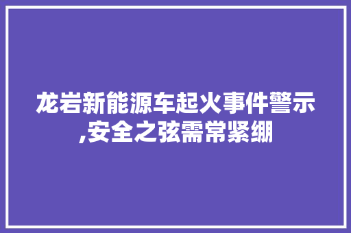 龙岩新能源车起火事件警示,安全之弦需常紧绷