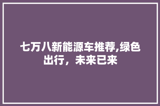 七万八新能源车推荐,绿色出行，未来已来