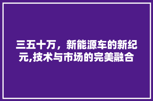 三五十万，新能源车的新纪元,技术与市场的完美融合