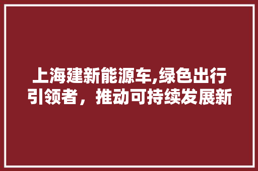 上海建新能源车,绿色出行引领者，推动可持续发展新篇章