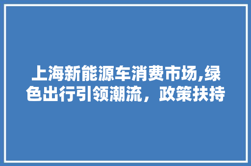 上海新能源车消费市场,绿色出行引领潮流，政策扶持助力发展