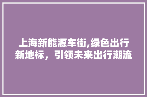 上海新能源车街,绿色出行新地标，引领未来出行潮流 新款车型