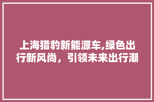 上海猎豹新能源车,绿色出行新风尚，引领未来出行潮流