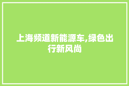 上海频道新能源车,绿色出行新风尚