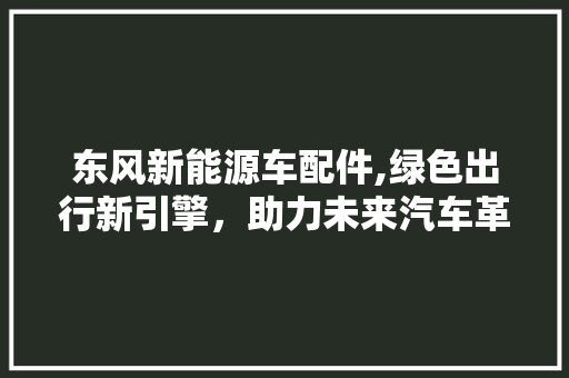 东风新能源车配件,绿色出行新引擎，助力未来汽车革命