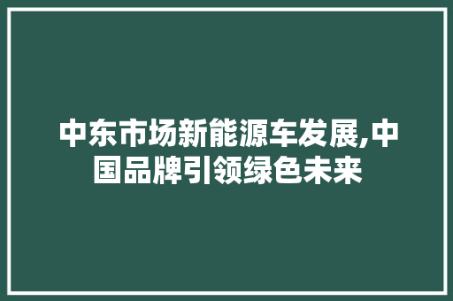 中东市场新能源车发展,中国品牌引领绿色未来