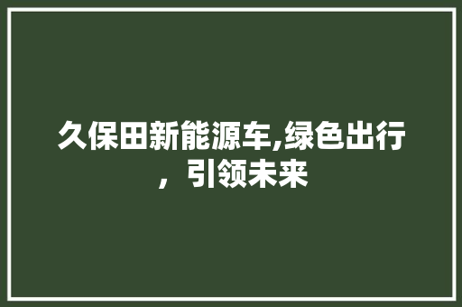 久保田新能源车,绿色出行，引领未来