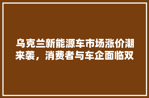 乌克兰新能源车市场涨价潮来袭，消费者与车企面临双重压力