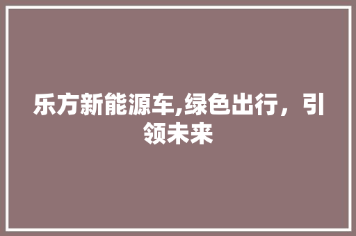 乐方新能源车,绿色出行，引领未来