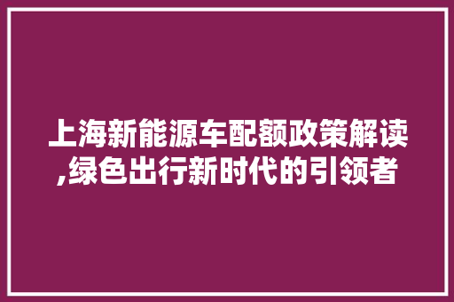 上海新能源车配额政策解读,绿色出行新时代的引领者 新款车型
