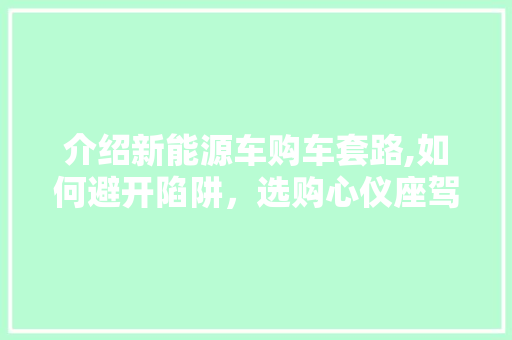 介绍新能源车购车套路,如何避开陷阱，选购心仪座驾