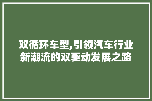 双循环车型,引领汽车行业新潮流的双驱动发展之路
