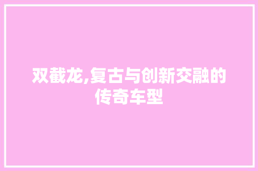 双截龙,复古与创新交融的传奇车型