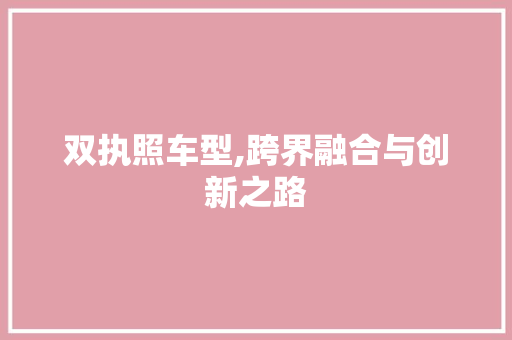 双执照车型,跨界融合与创新之路
