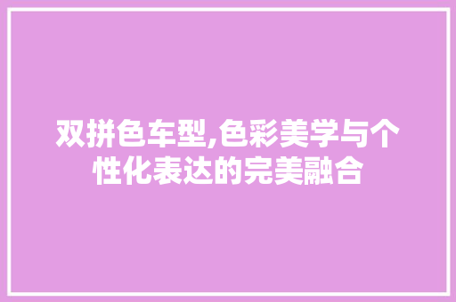 双拼色车型,色彩美学与个性化表达的完美融合