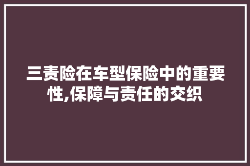 三责险在车型保险中的重要性,保障与责任的交织