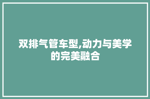 双排气管车型,动力与美学的完美融合