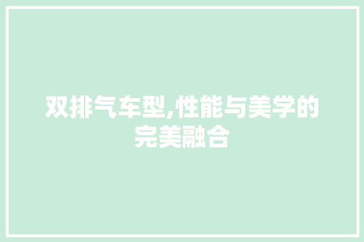 双排气车型,性能与美学的完美融合