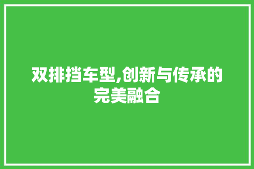 双排挡车型,创新与传承的完美融合