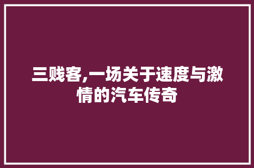 三贱客,一场关于速度与激情的汽车传奇 车灯配件