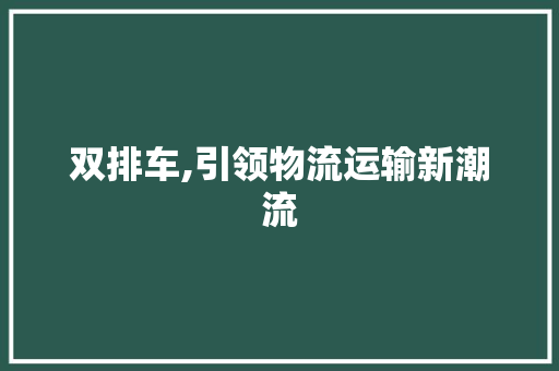 双排车,引领物流运输新潮流