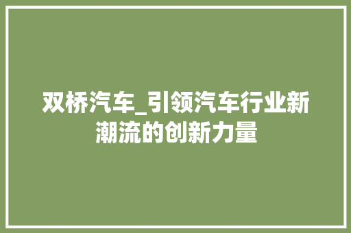 双桥汽车_引领汽车行业新潮流的创新力量