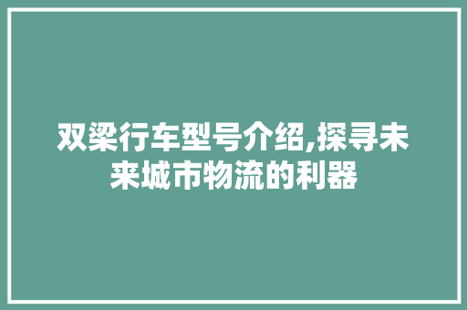 双梁行车型号介绍,探寻未来城市物流的利器