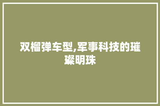 双榴弹车型,军事科技的璀璨明珠