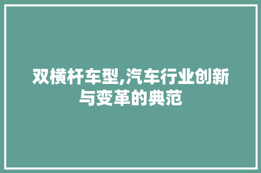 双横杆车型,汽车行业创新与变革的典范
