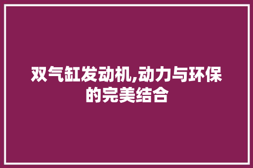 双气缸发动机,动力与环保的完美结合